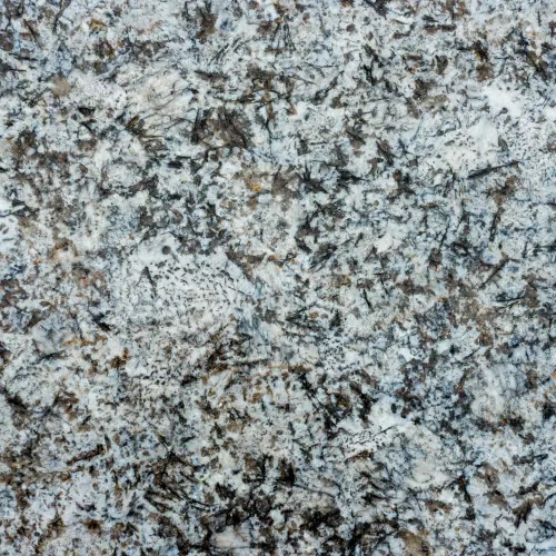 Bianco Antico granite slab